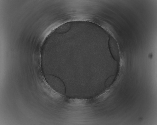 X0000115720781200912241604