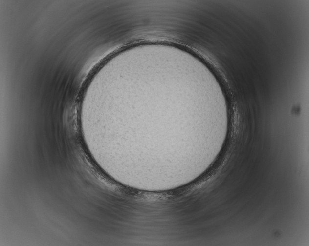 X0000115720782200912241604