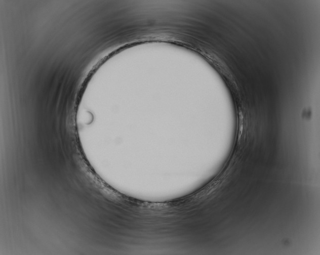 X0000115720784200912241604