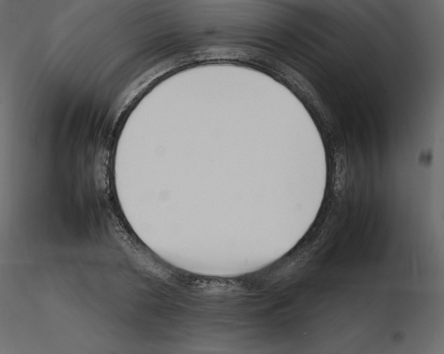 X0000115720786200912241604