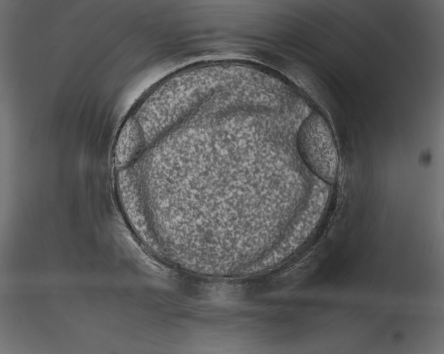 X0000115720789200912241604