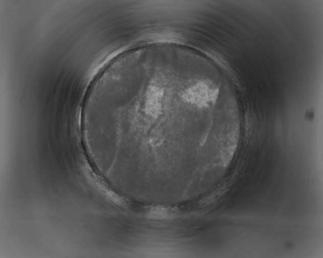 X0000115720790200912241604