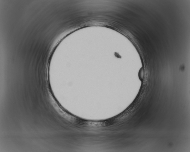 X0000115720795200912241604