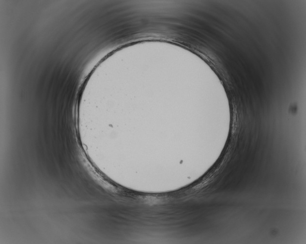 X0000115720796200912241604