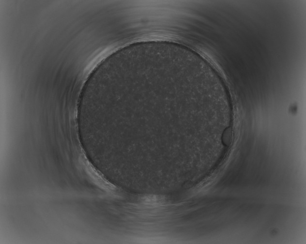 X0000115720797200912241604