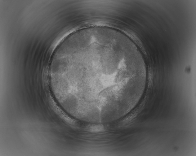 X0000115720798200912241604