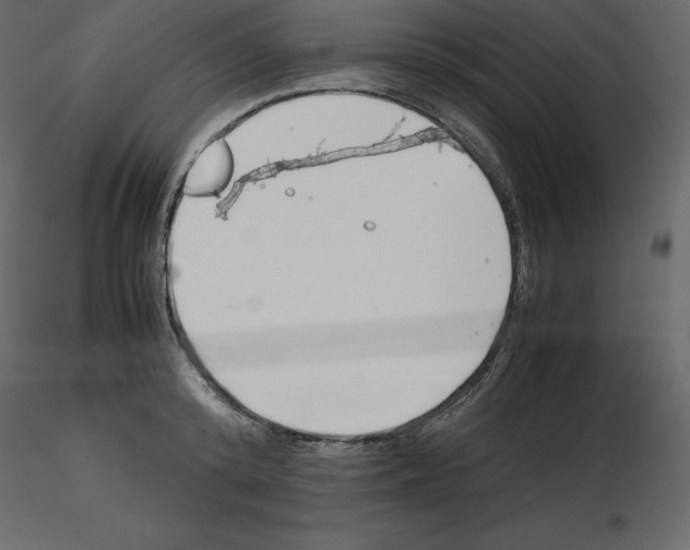 X0000115720800200912241604