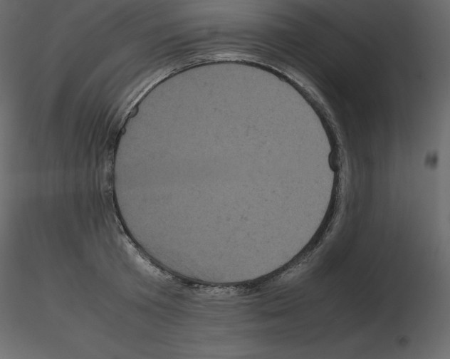 X0000115720801200912241604