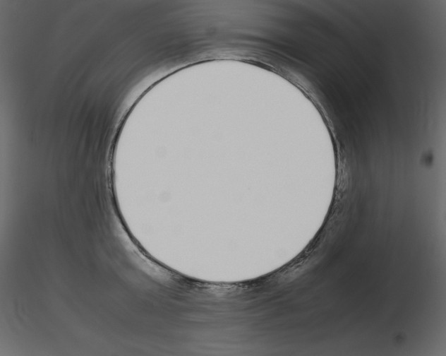X0000115720803200912241604