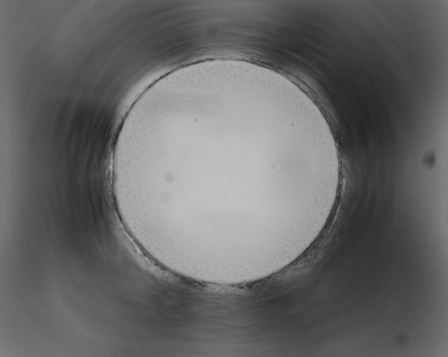 X0000115720804200912241603