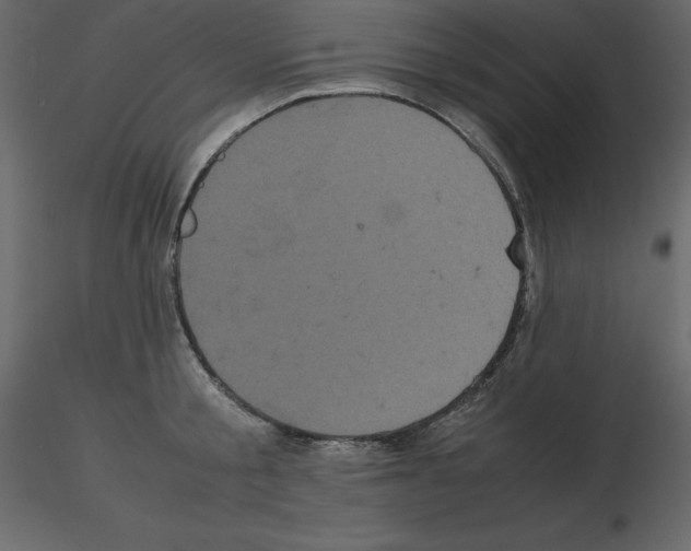 X0000115720805200912241603