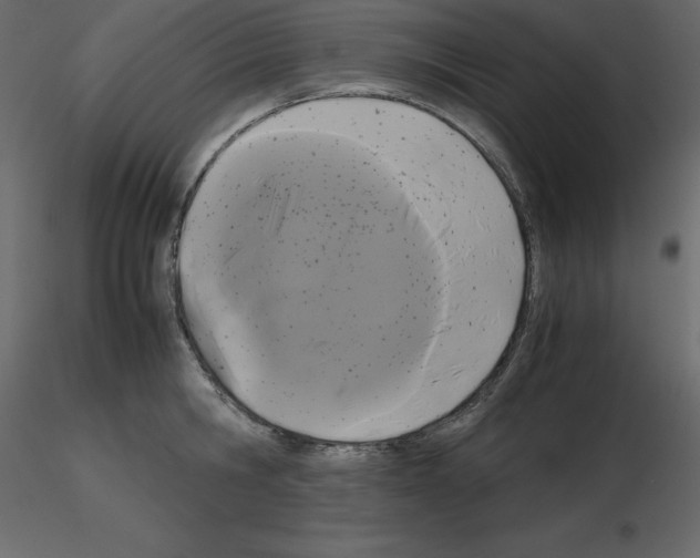 X0000115720806200912241603