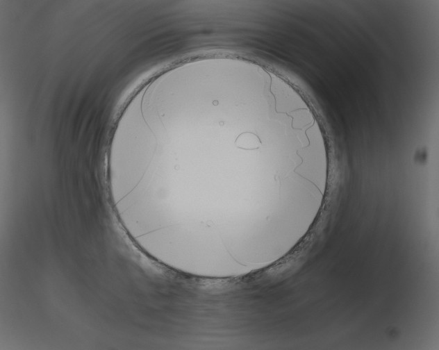 X0000115720807200912241603