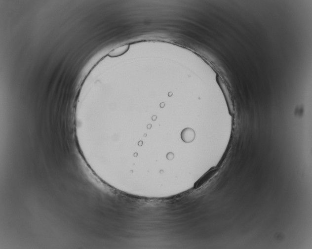 X0000115720808200912241603