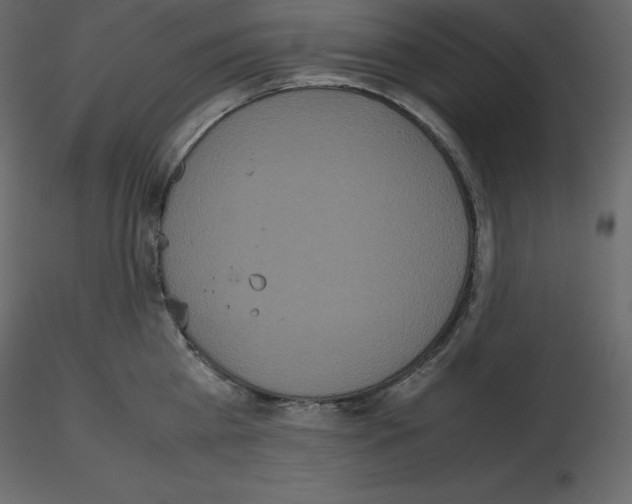 X0000115720809200912241603