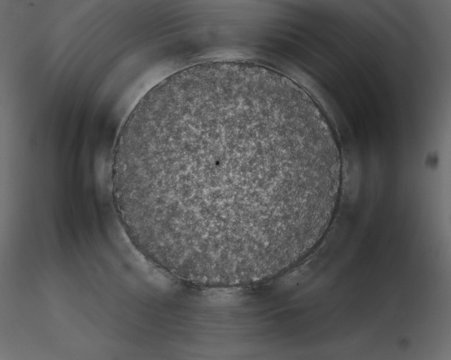 X0000115720810200912241603