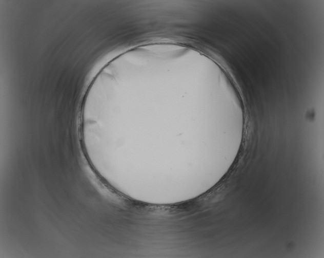 X0000115720811200912241603