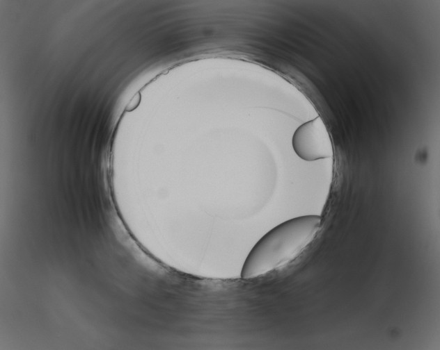 X0000115720812200912241603