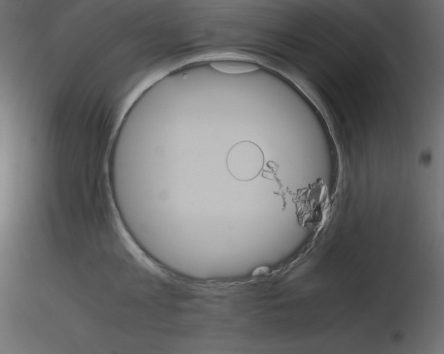 X0000115720813200912241603