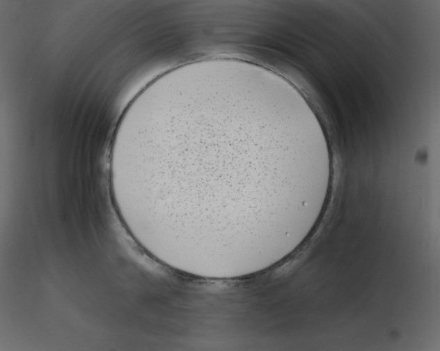 X0000115720814200912241603