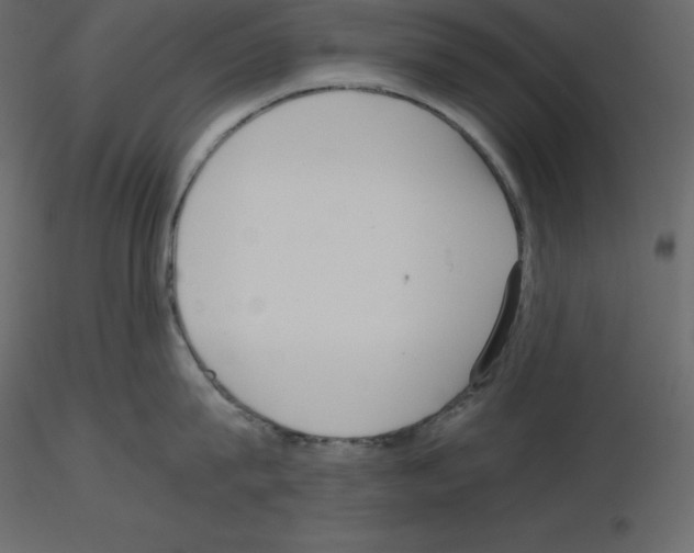 X0000115720815200912241603