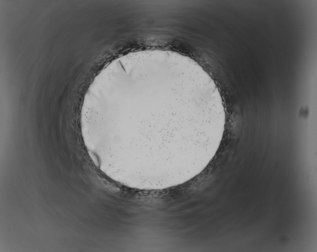 X0000115720817200912241603