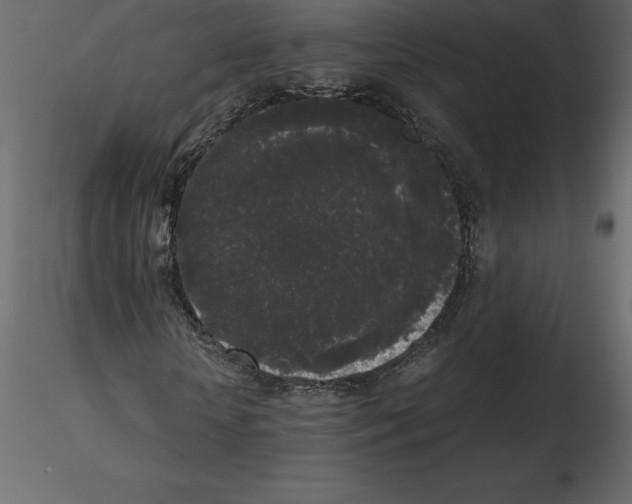 X0000115720818200912241603