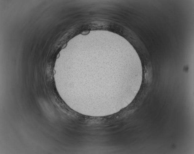 X0000115720819200912241603