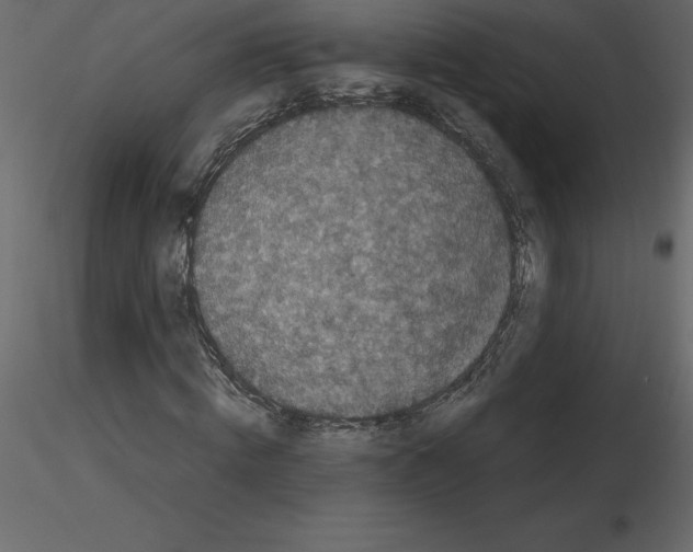 X0000115720820200912241603