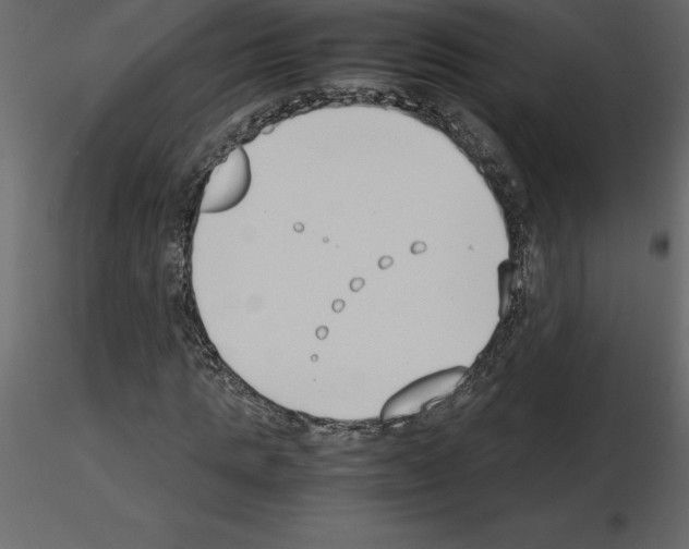 X0000115720821200912241603