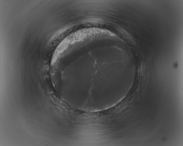X0000115720822200912241603