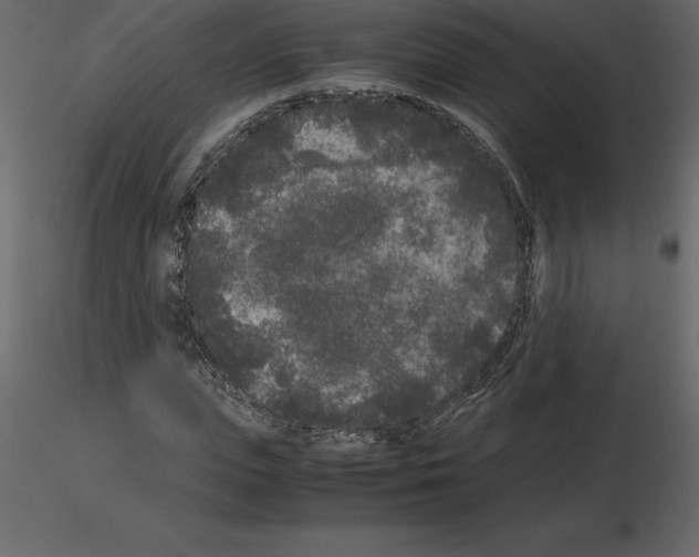 X0000115720823200912241603