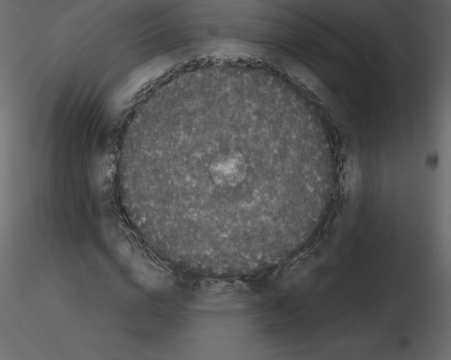 X0000115720824200912241603