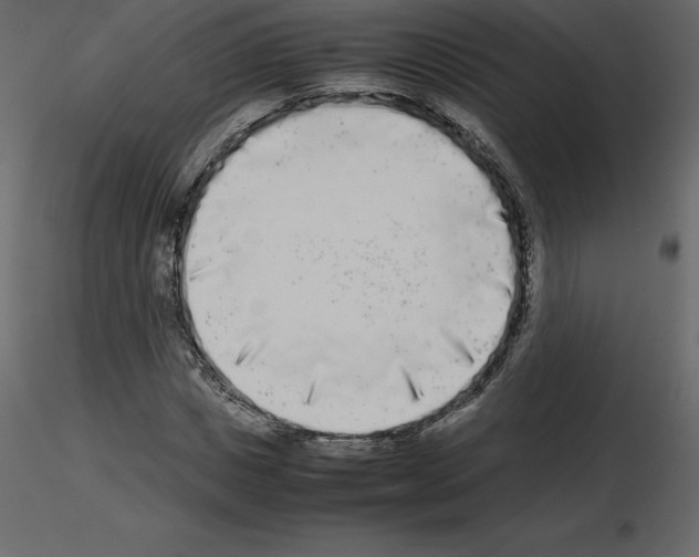 X0000115720825200912241603