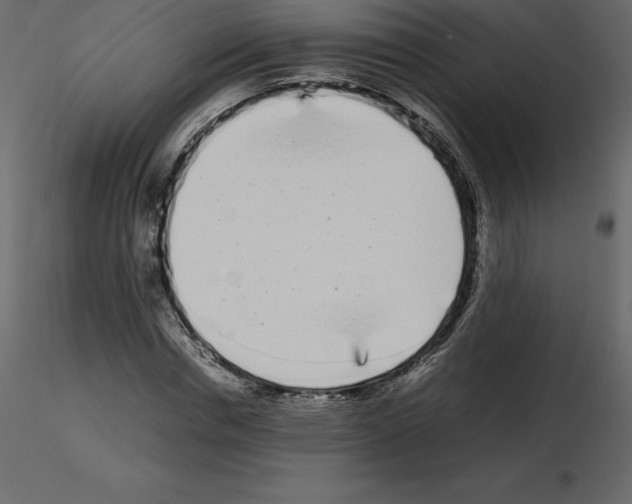 X0000115720826200912241603