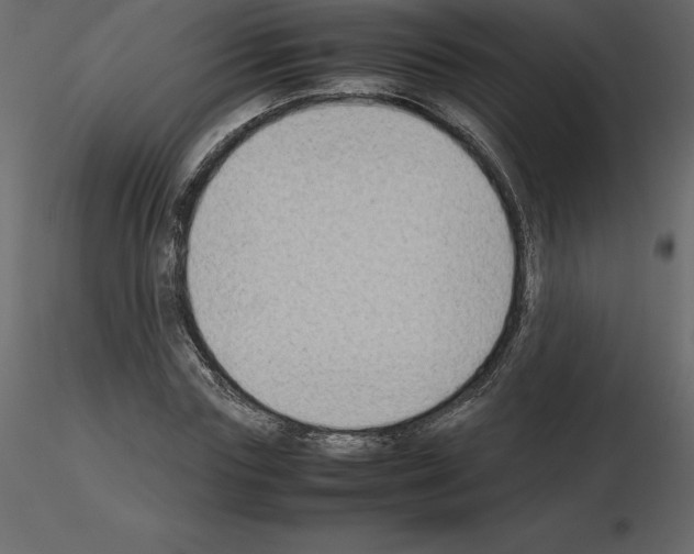 X0000115720827200912241603