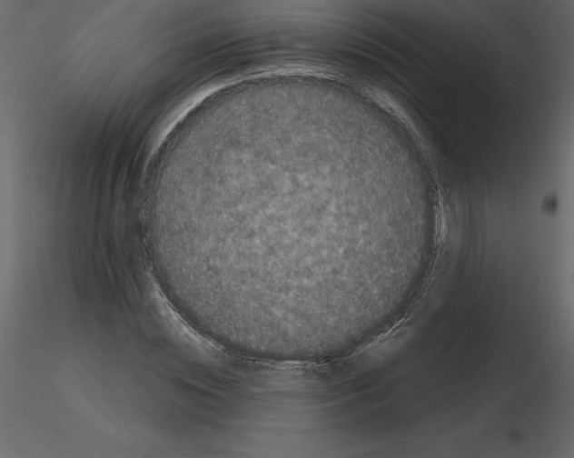 X0000115720828200912241603