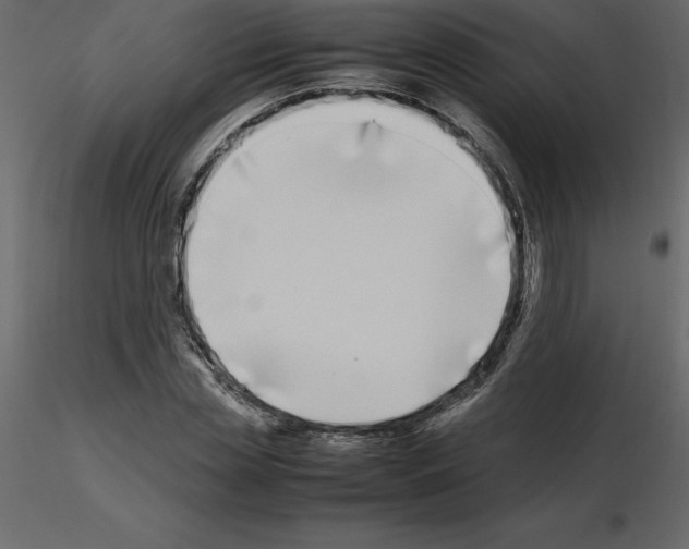 X0000115720829200912241603