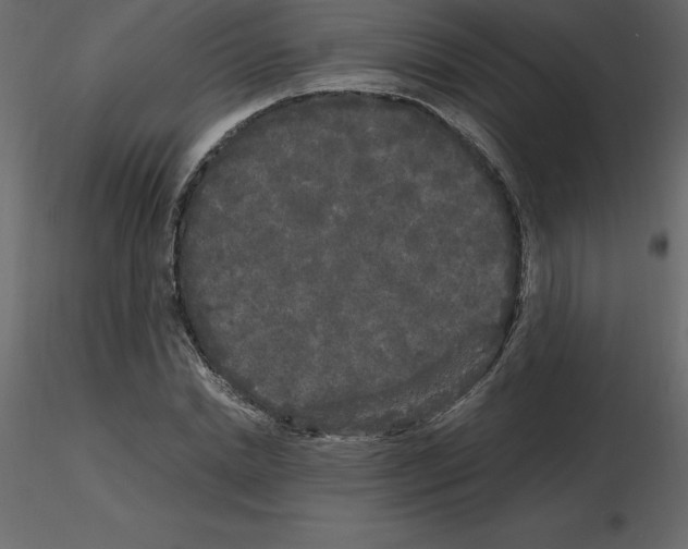 X0000115720830200912241603