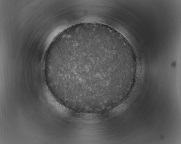 X0000115720832200912241603