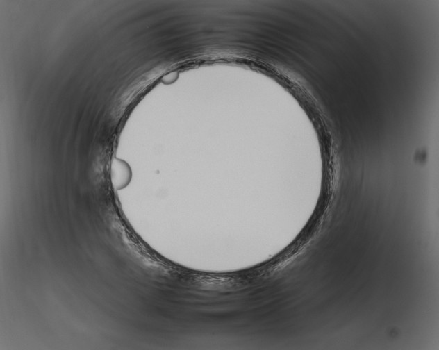 X0000115720833200912241603