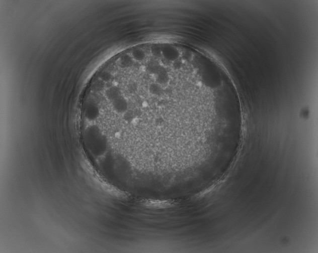 X0000115720835200912241603