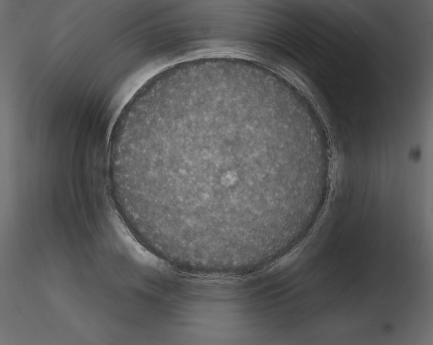 X0000115720836200912241603