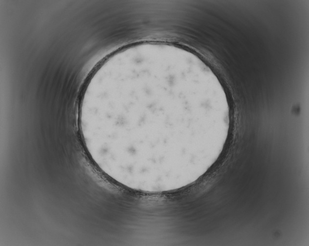 X0000115720838200912241603