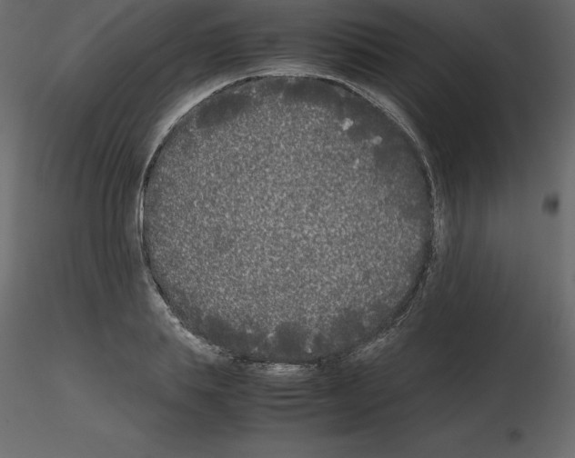 X0000115720839200912241603