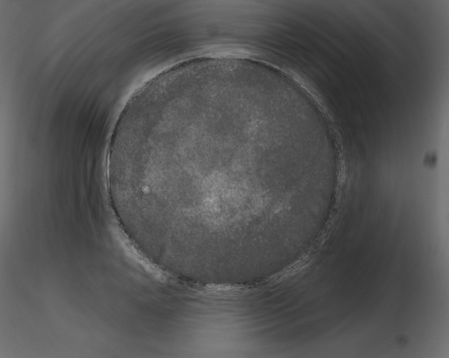 X0000115720840200912241603