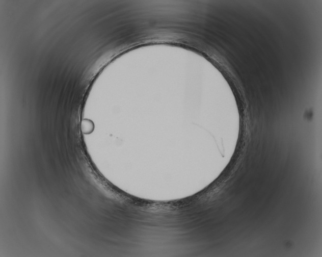 X0000115720842200912241603
