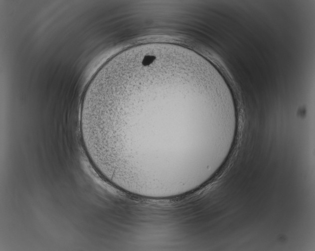 X0000115720844200912241603