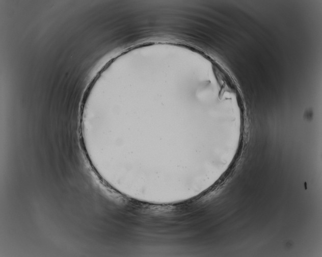 X0000115720845200912241603