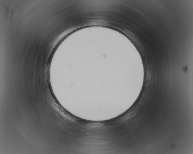 X0000115720846200912241603